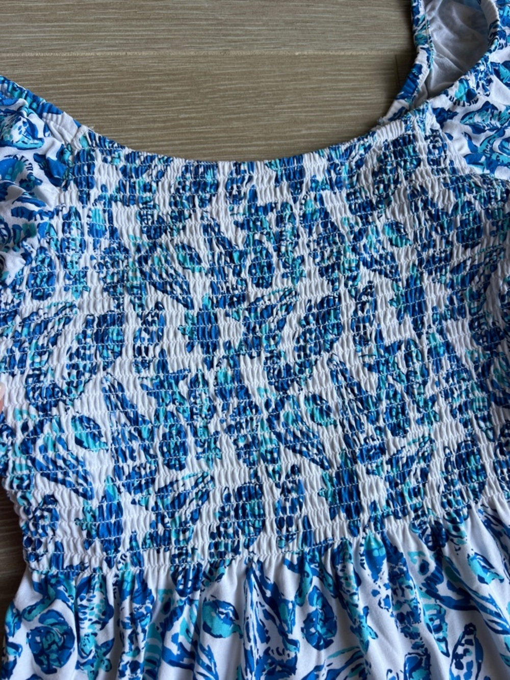 Lilly Pulitzer Blue and White Dress - Picture 10 of 10